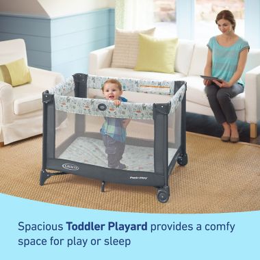Graco&reg; Pack 'n Play&reg; Portable Playard in Reign. View a larger version of this product image.
