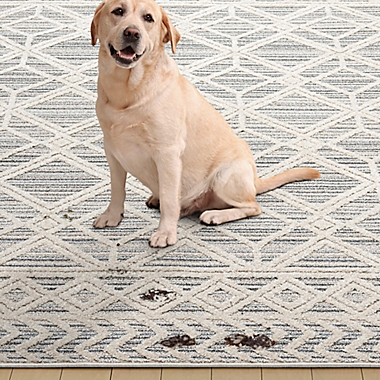 Brookstone Crescent Area Rug. View a larger version of this product image.