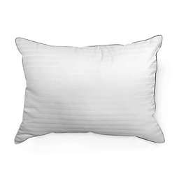 Millano Collection 300-Thread-Count Dobby Stripe Queen Bed Pillows (Set of 2)