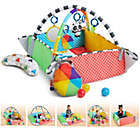 Alternate image 11 for Baby Einstein&trade; Patch&rsquo;s 5-in-1 Playspace&trade; Activity Gym &amp; Ball Pit