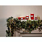 Alternate image 1 for WoodWick&reg; HearthWick Flame&reg; Crimson Berries Large Ellipse Jar Candle