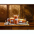 Alternate image 3 for WoodWick&reg; Pumpkin Butter 16 oz. Ellipse Candle