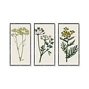 Bee &amp; Willow&trade; Floral Framed Embellished Canvas Wall Art (Set of 3)