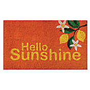 H for Happy&trade; 18&quot; x 30&quot; Hello Sunshine Coir Door Mat in Natural