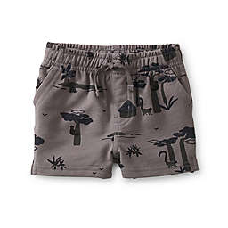 Tea Collection Vacation Baby Shorts in Grey