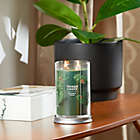 Alternate image 1 for Yankee Candle&reg; Balsam &amp; Cedar Signature Collection 20 oz. Large Tumbler Candle