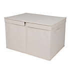 Alternate image 0 for Squared Away&trade; Large Canvas Storage Box in Egret/Oyster Grey