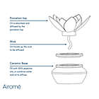 Alternate image 4 for Airom&eacute; Porcelain Succulent 2-Piece Essential Oil Diffuser Set in Tan