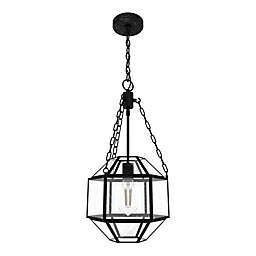 Hunter® Indria 1-Light Pendant Ceiling Lamp