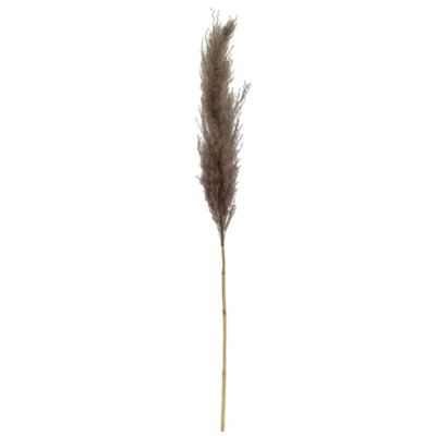 Bee &amp; Willow&trade; 34-Inch Pampas Stem Decoration in Grey