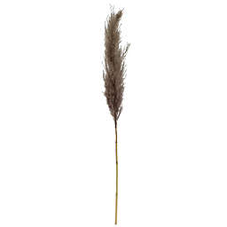 Bee & Willow™ 34-Inch Pampas Stem Decoration in Grey