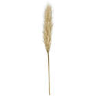 Alternate image 0 for Bee &amp; Willow&trade; 34-Inch Pampas Stem Decoration in Natural