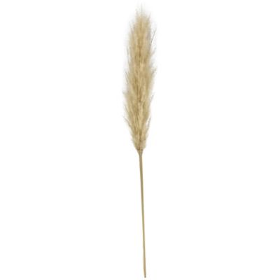 Bee &amp; Willow&trade; 34-Inch Pampas Stem Decoration in Natural