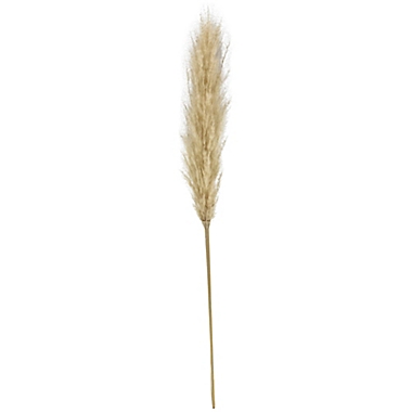Bee &amp; Willow&trade; 34-Inch Pampas Stem Decoration in Natural. View a larger version of this product image.