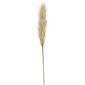Bee &amp; Willow&trade; 34-Inch Pampas Stem Decoration in Natural