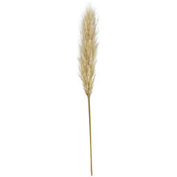 Bee & Willow™ 34-Inch Pampas Stem Decoration in Natural