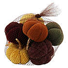 Alternate image 0 for Bee &amp; Willow&trade; Decorative Bagged Pumpkins Decorative Tabletop
