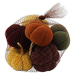 Bee & Willow™ Decorative Bagged Pumpkins Decorative Tabletop
