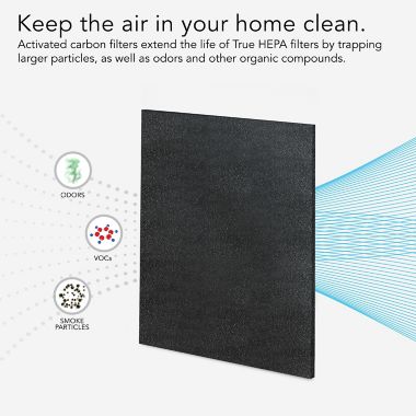 Vornado&reg; AC300/AC500 Carbon Filter MD1-0023. View a larger version of this product image.