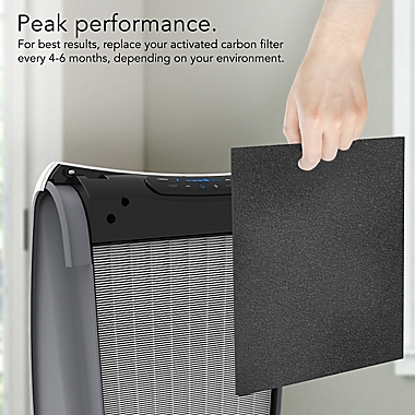 Vornado&reg; AC300/AC500 Carbon Filter MD1-0023. View a larger version of this product image.
