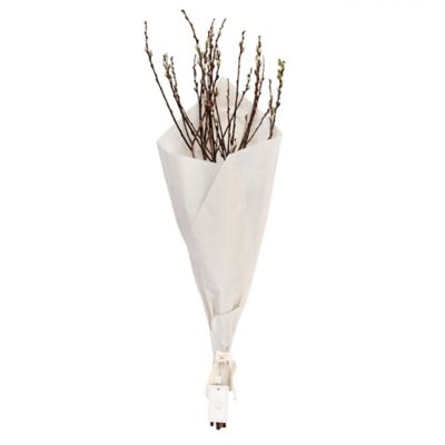 Everhome&trade; Pussy Willow Bouquet