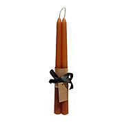Bee &amp; Willow&trade; 10-Inch Unscented Taper Candles in Roasted Pecan (Set of 2)