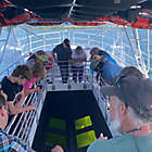 Alternate image 0 for Glass Bottom Shipwreck Tour by Spur Experiences&reg; (Cheboygan, MI)