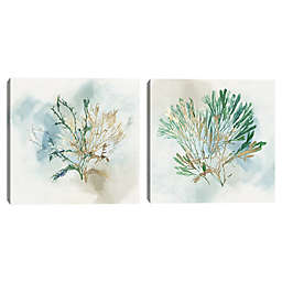 Masterpiece Art Gallery Green Coral II & III 24-Inch Square Canvas Wall Decor Set