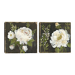 Masterpiece Art Gallery Fruit of the Flower II & III 24-Inch Square Canvas Wall Art