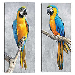Masterpiece Art Gallery Tropical Parrots I & II 17-Inch 34-Inch Canvas Wall Decor Set
