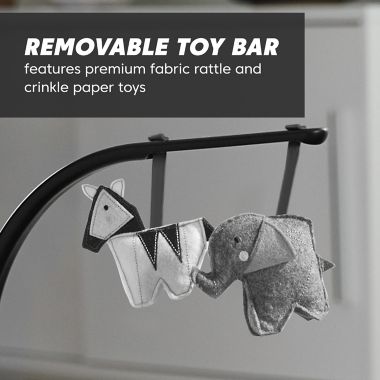 Baby Jogger&reg; city sway&trade; 2-in-1 Rocker and Bouncer in Graphite. View a larger version of this product image.