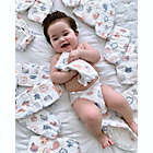 Alternate image 2 for ABBY&amp;FINN Diaper and Wipes 1-Month Subscription by Spur Experiences&reg;