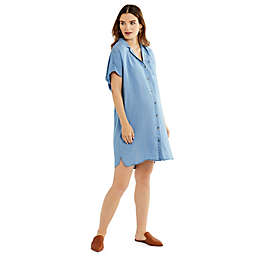 A Pea in the Pod® Chambray Button Front Maternity Dress in Blue