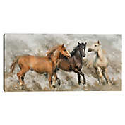 Masterpiece Art Gallery Home on the Range 48-Inch x 24-Inch Canvas Wall Art