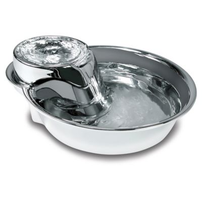 bed bath and beyond pet fountain