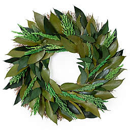Everhome™ 20-Inch Dried Greenery Wreath