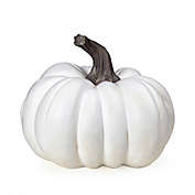 H for Happy&trade; Medium Harvest Porch Pumpkin Decor in White