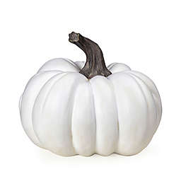 H for Happy™ Medium Harvest Porch Pumpkin Decor in White