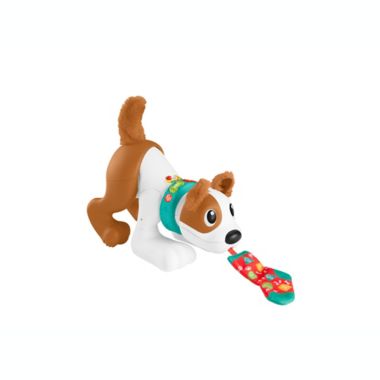 Fisher-Price&reg; 1-2-3 Crawl With Me Puppy. View a larger version of this product image.