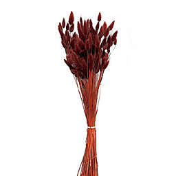 Bee & Willow™ Dried Lagurus Decorative Bouquet in Rust