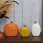 Alternate image 2 for H for Happy&trade; Ceramic Pumpkins in Orange (Set of 3)