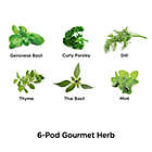Alternate image 3 for MiracleGr&reg;o AeroGarden&reg; Gourmet Herb Seeds 6-Pod Kit