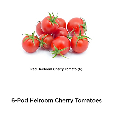 Miracle-Gro&reg; AeroGarden&reg; Heirloom Cherry Tomato Seeds 6-Pod Kit. View a larger version of this product image.
