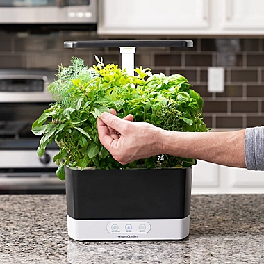 AeroGarden&reg; Harvest with Herb Seed Pod Kit in Black. View a larger version of this product image.
