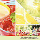 Alternate image 1 for Yankee Candle&reg; 6-Pack Iced Berry Lemonade Wax Melts
