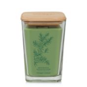Yankee Candle&reg; Restorative Hinoki &amp; Juniper Well Living Collection 19.5 oz. Candle