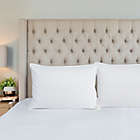 Alternate image 1 for Everhome&trade; Premium Down Medium Support Standard Bed Pillow