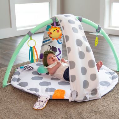 Sassy Baby&reg; Sensory Zone Milestone Reversible Play Gym. View a larger version of this product image.