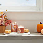 Alternate image 5 for Yankee Candle&reg; Spiced Pumpkin 20 oz. Large Jar Candle