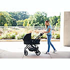 Alternate image 4 for Safety 1st&reg; Grow and Go&trade; Flex 8-in-1 Travel System in Teal